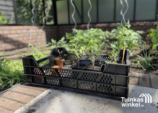 PVC stekbak 40 x 60 cm