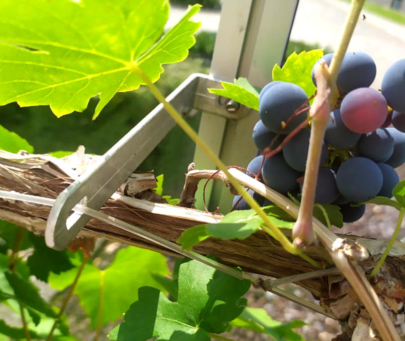 Universele beugels 5 stuks