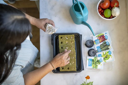 Starterskit met kiemplanten